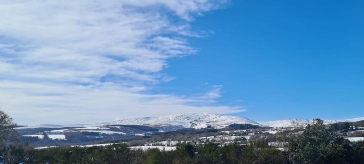 Scarr View 1St Floor Apartment A98W710 Γουίκλοου Εξωτερικό φωτογραφία